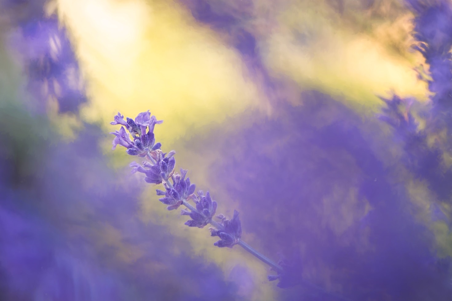 5 Essential Tools for Spiritual Growth